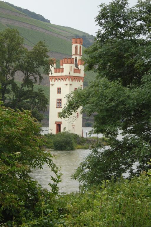 Hotel Gasthof Schuster und Gästehaus Rüdesheim am Rhein Exterior foto