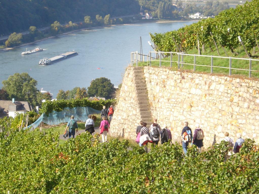 Hotel Gasthof Schuster und Gästehaus Rüdesheim am Rhein Exterior foto